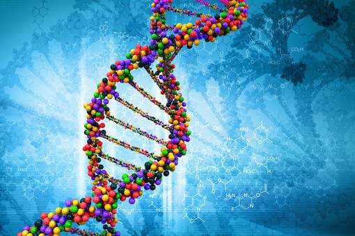Трансформация ДНК